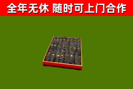 高昌回收海参